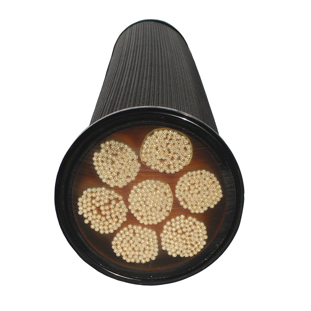 LifeSaver® replacement filter cartridge for C1 & C2 systems
