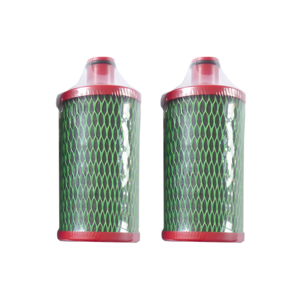 WatPass ACV 2x replacement filter cartridge for LifeSaver Cube