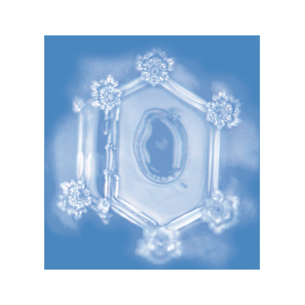 Waterswirler Swirl-Egg - The swirler in the original form for table filters and common taps